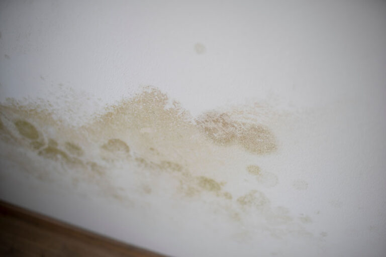 Wasserfleck Gelbe Flecken An Der Wand Ursachen und Lösungen für Flecken an der Wand